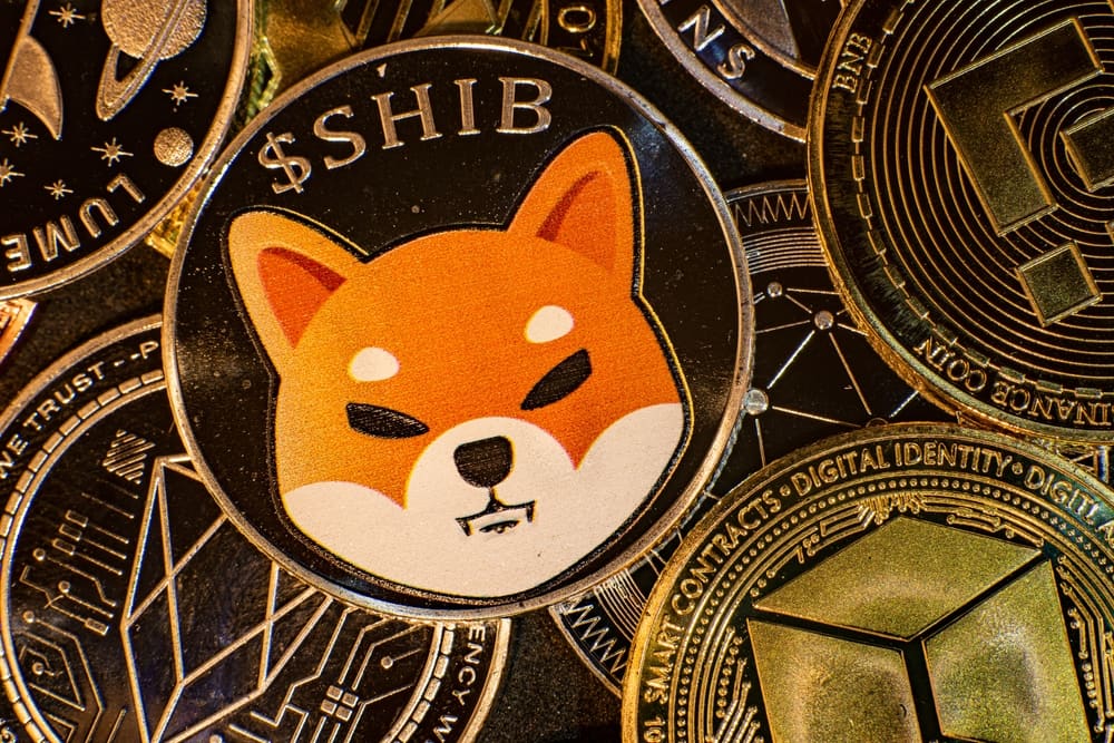 Könnte Shiba Inu Dogecoin im Jahr 2022 überholen?
