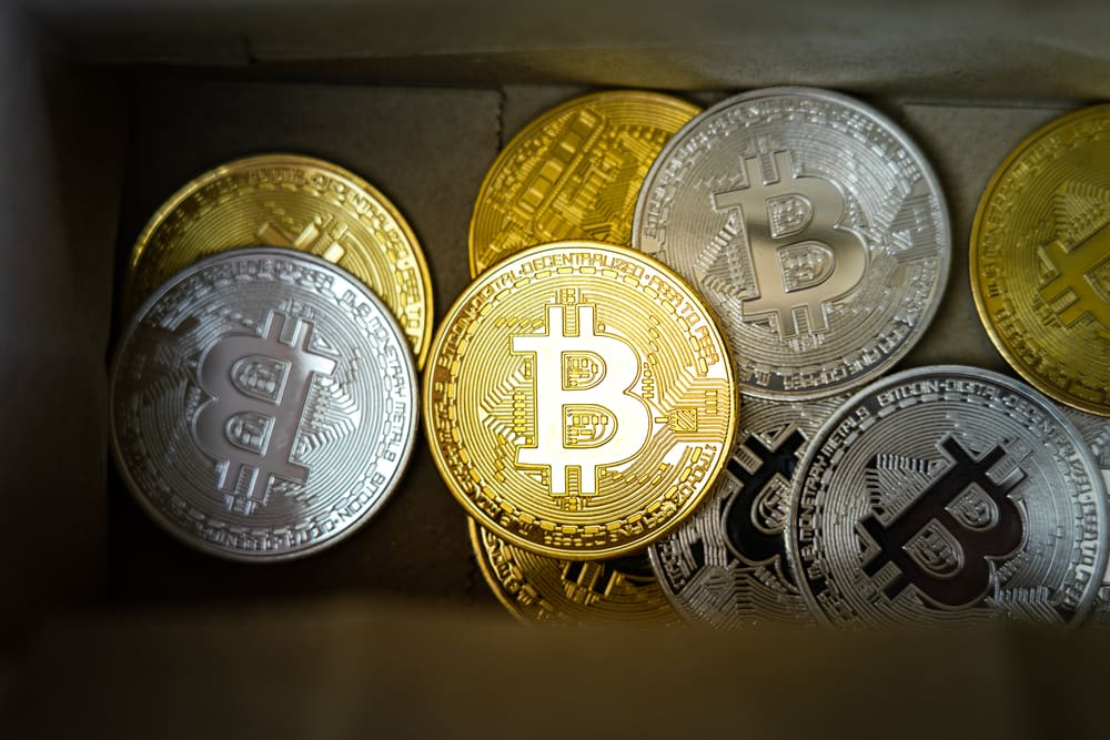 Wale Kaufen Bitcoin Auf Und Bereiten Sich Auf Einen Bull-run Vor